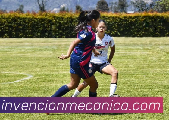 奖项图3